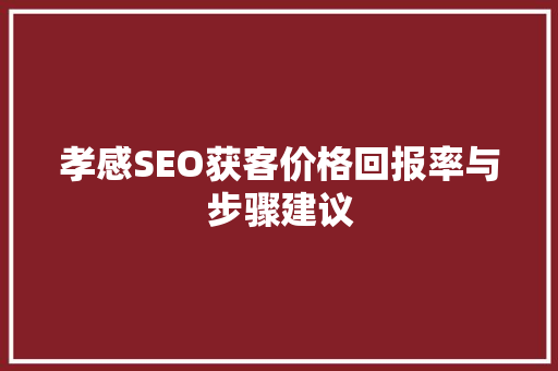 孝感SEO获客价格回报率与步骤建议