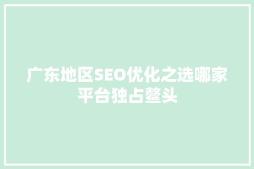 广东地区SEO优化之选哪家平台独占鳌头 网站优化