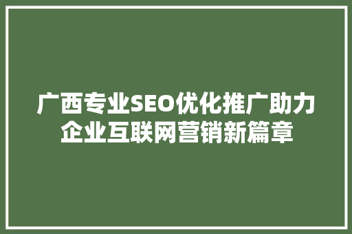 广西专业SEO优化推广助力企业互联网营销新篇章
