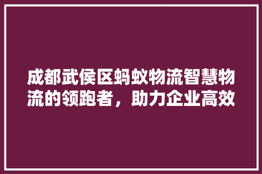 成都武侯区蚂蚁物流智慧物流的领跑者，助力企业高效发展 小程序开发