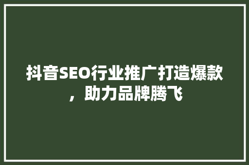 抖音SEO行业推广打造爆款，助力品牌腾飞 seo技术