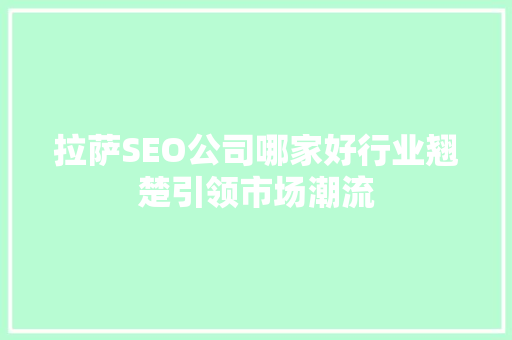拉萨SEO公司哪家好行业翘楚引领市场潮流