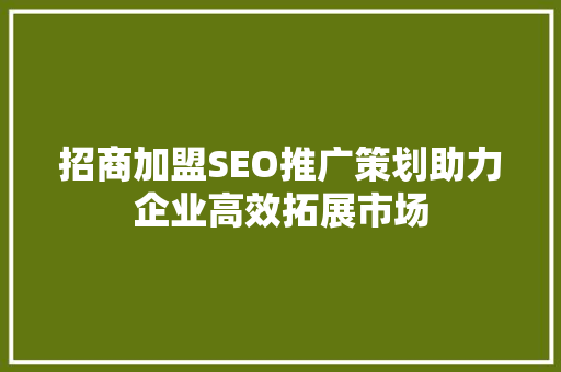 招商加盟SEO推广策划助力企业高效拓展市场 网站开发