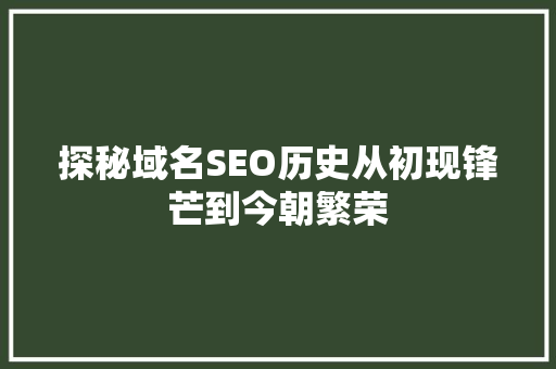 探秘域名SEO历史从初现锋芒到今朝繁荣