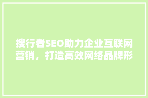 搜行者SEO助力企业互联网营销，打造高效网络品牌形象 搜狗优化