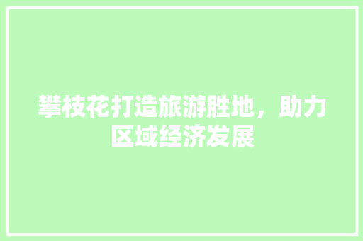 攀枝花打造旅游胜地，助力区域经济发展 英文谷歌算法