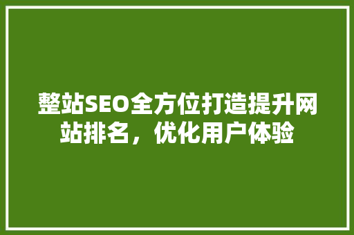 整站SEO全方位打造提升网站排名，优化用户体验