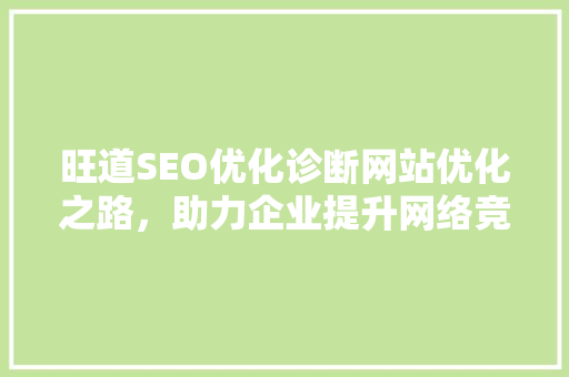 旺道SEO优化诊断网站优化之路，助力企业提升网络竞争力 搜狗优化