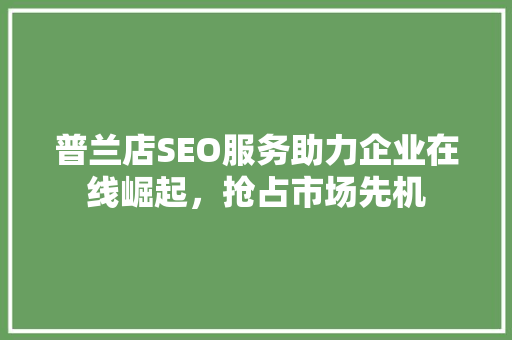 普兰店SEO服务助力企业在线崛起，抢占市场先机