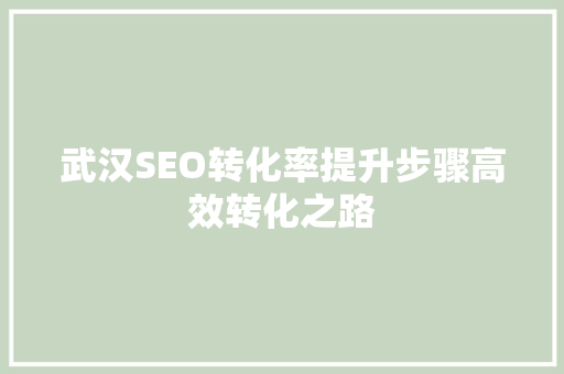 武汉SEO转化率提升步骤高效转化之路
