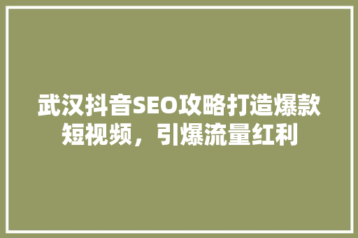 武汉抖音SEO攻略打造爆款短视频，引爆流量红利