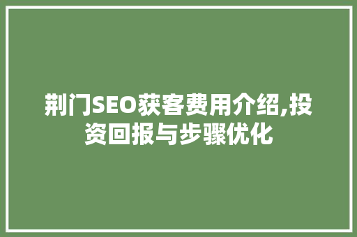 荆门SEO获客费用介绍,投资回报与步骤优化
