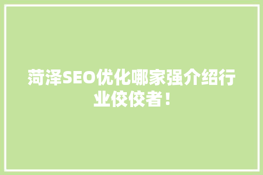 菏泽SEO优化哪家强介绍行业佼佼者！
