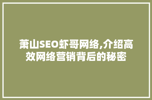 萧山SEO虾哥网络,介绍高效网络营销背后的秘密
