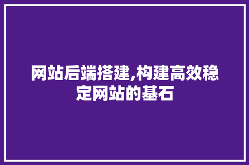 网站后端搭建,构建高效稳定网站的基石 网站后端搭建,构建高效稳定网站的基石 网站开发
