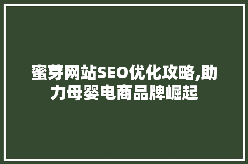 蜜芽网站SEO优化攻略,助力母婴电商品牌崛起