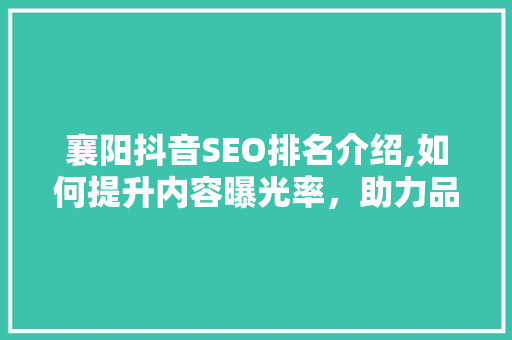 襄阳抖音SEO排名介绍,如何提升内容曝光率，助力品牌腾飞 小程序开发