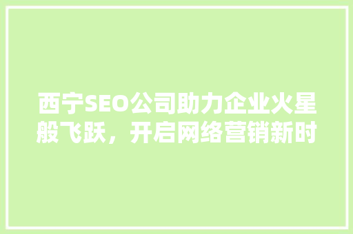 西宁SEO公司助力企业火星般飞跃，开启网络营销新时代 网站开发