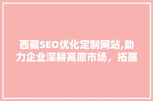 西藏SEO优化定制网站,助力企业深耕高原市场，拓展网络版图