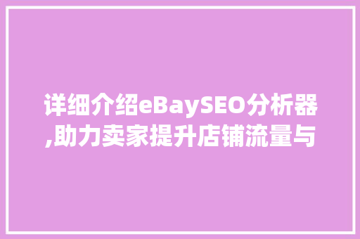 详细介绍eBaySEO分析器,助力卖家提升店铺流量与转化率