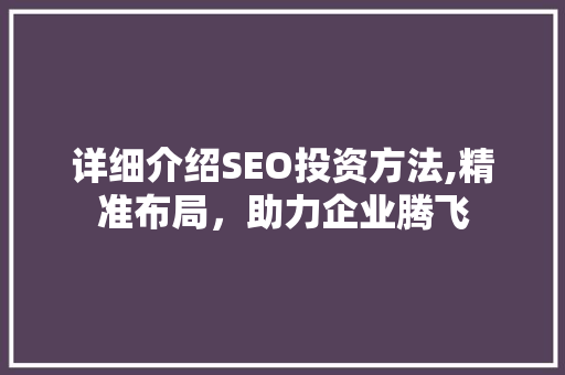 详细介绍SEO投资方法,精准布局，助力企业腾飞