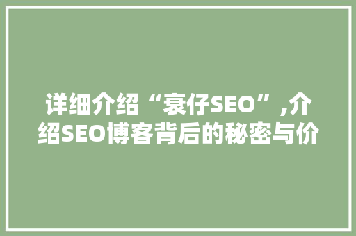 详细介绍“衰仔SEO”,介绍SEO博客背后的秘密与价值