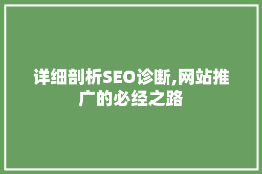 详细剖析SEO诊断,网站推广的必经之路 搜狗优化