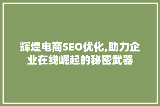 辉煌电商SEO优化,助力企业在线崛起的秘密武器