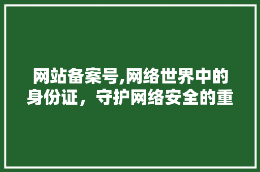 网站备案号,网络世界中的身份证，守护网络安全的重要凭证 网站备案号,网络世界中的身份证，守护网络安全的重要凭证 头条优化