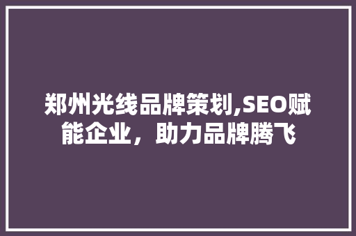 郑州光线品牌策划,SEO赋能企业，助力品牌腾飞