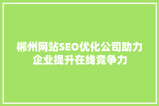 郴州网站SEO优化公司助力企业提升在线竞争力