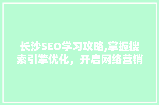 长沙SEO学习攻略,掌握搜索引擎优化，开启网络营销新篇章 360搜优化