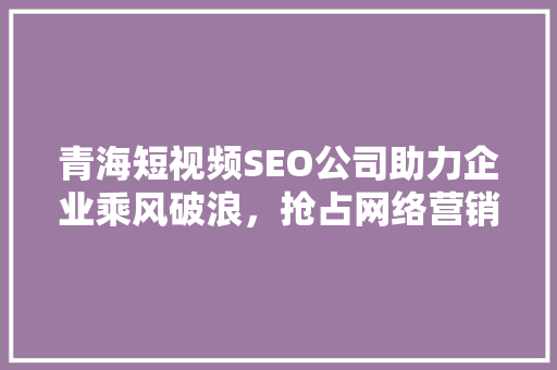 青海短视频SEO公司助力企业乘风破浪，抢占网络营销制高点