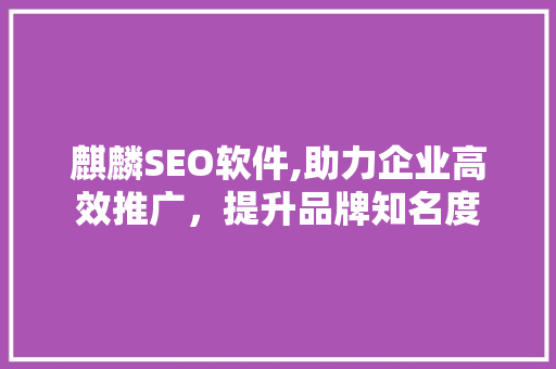 麒麟SEO软件,助力企业高效推广，提升品牌知名度 网站开发