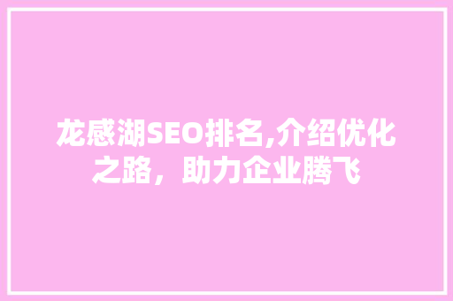 龙感湖SEO排名,介绍优化之路，助力企业腾飞