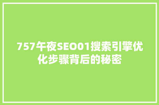 757午夜SEO01搜索引擎优化步骤背后的秘密