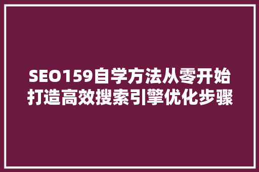 SEO159自学方法从零开始打造高效搜索引擎优化步骤 seo技术
