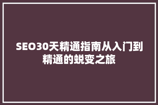 SEO30天精通指南从入门到精通的蜕变之旅