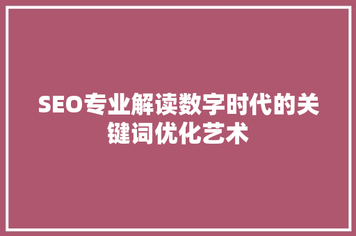 SEO专业解读数字时代的关键词优化艺术