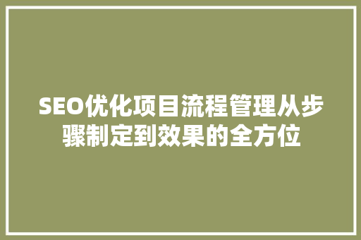 SEO优化项目流程管理从步骤制定到效果的全方位