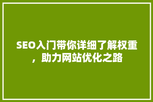 SEO入门带你详细了解权重，助力网站优化之路