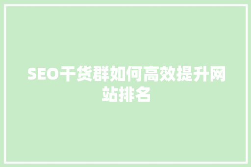 SEO干货群如何高效提升网站排名