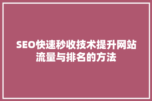 SEO快速秒收技术提升网站流量与排名的方法 网站开发