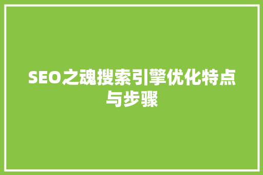 SEO之魂搜索引擎优化特点与步骤