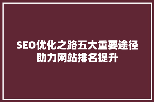SEO优化之路五大重要途径助力网站排名提升