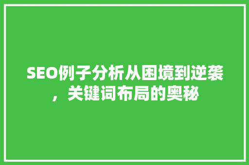 SEO例子分析从困境到逆袭，关键词布局的奥秘
