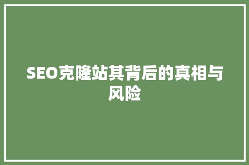 SEO克隆站其背后的真相与风险