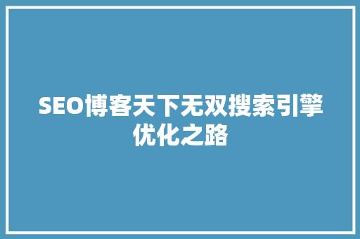 SEO博客天下无双搜索引擎优化之路 网站开发