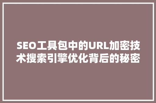 SEO工具包中的URL加密技术搜索引擎优化背后的秘密