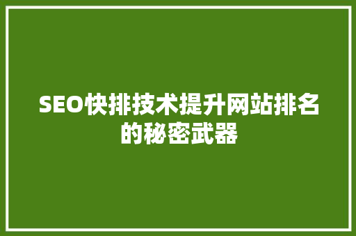 SEO快排技术提升网站排名的秘密武器